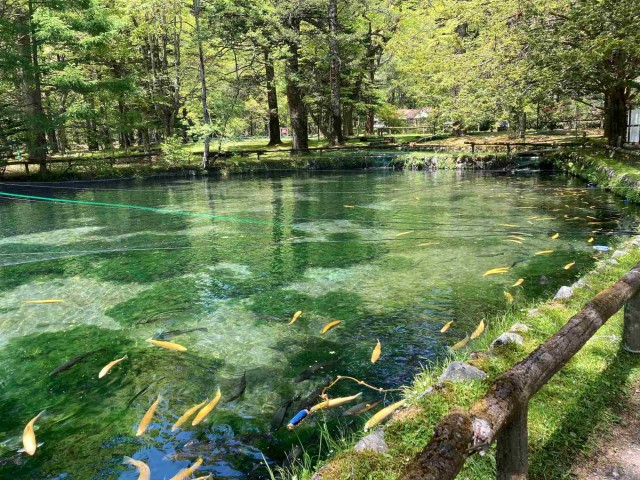 さかなと森の観察園